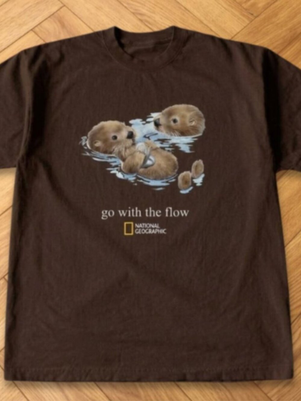 Brown - National Geographic Otter Go With The Flow Graphic T-Shirt Brown